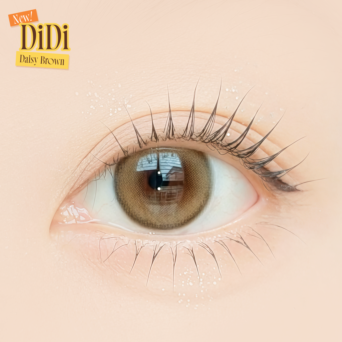DiDi Daisy Brown – Sissè Lens