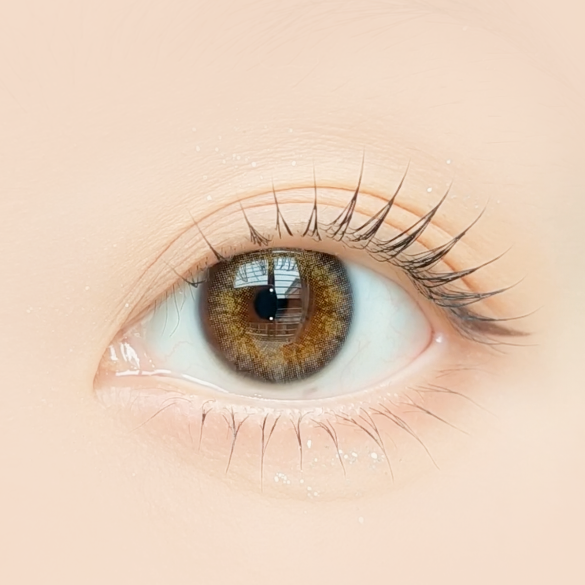 GiGi Cinnamon – Sissè Lens